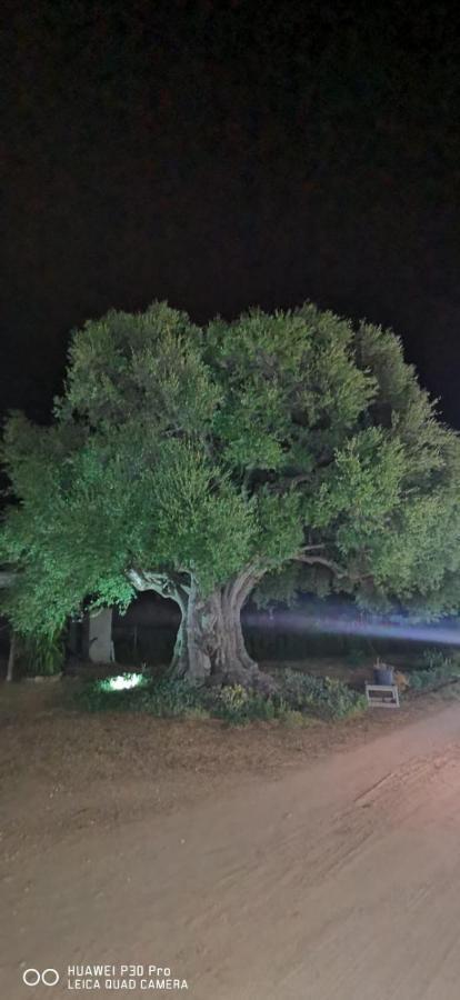 Azienda Multifunzionale S'Ozastro 마리넬라 외부 사진